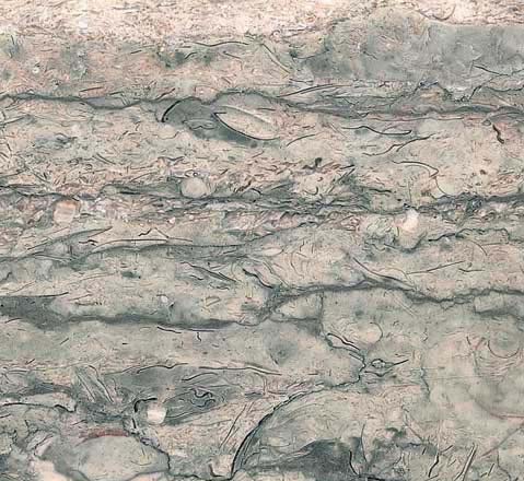 Snack Green,Snack Green granite