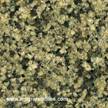 Diamond Green Slab